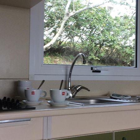 Camping Le Soline Casciano Di Murlo Δωμάτιο φωτογραφία