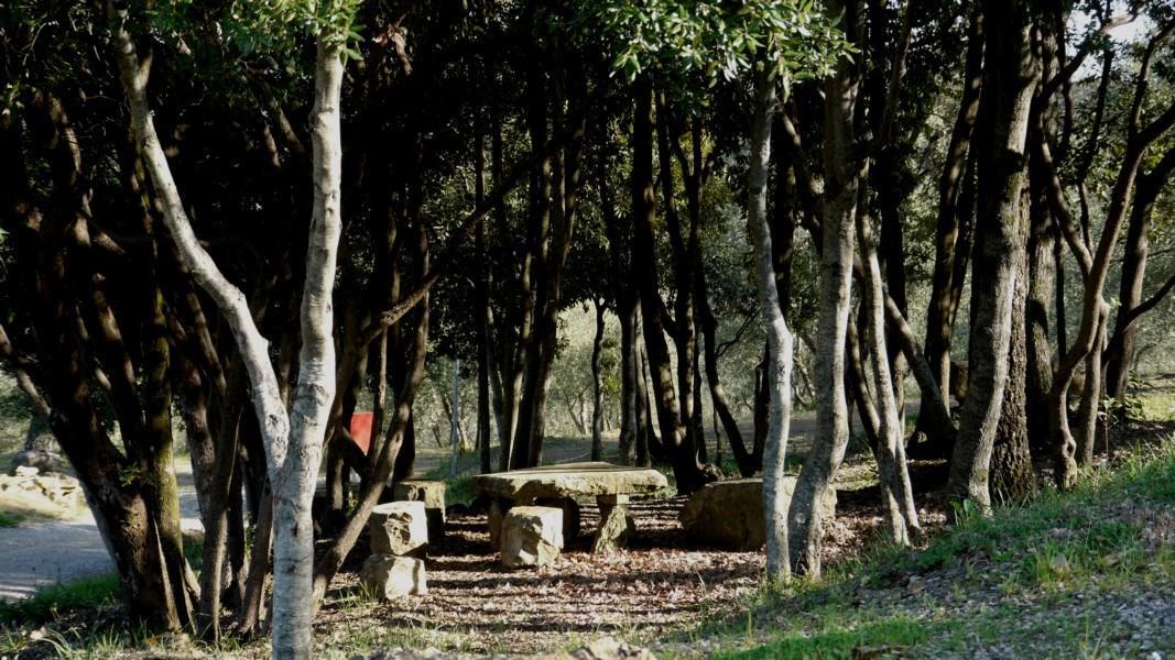 Camping Le Soline Casciano Di Murlo Εξωτερικό φωτογραφία