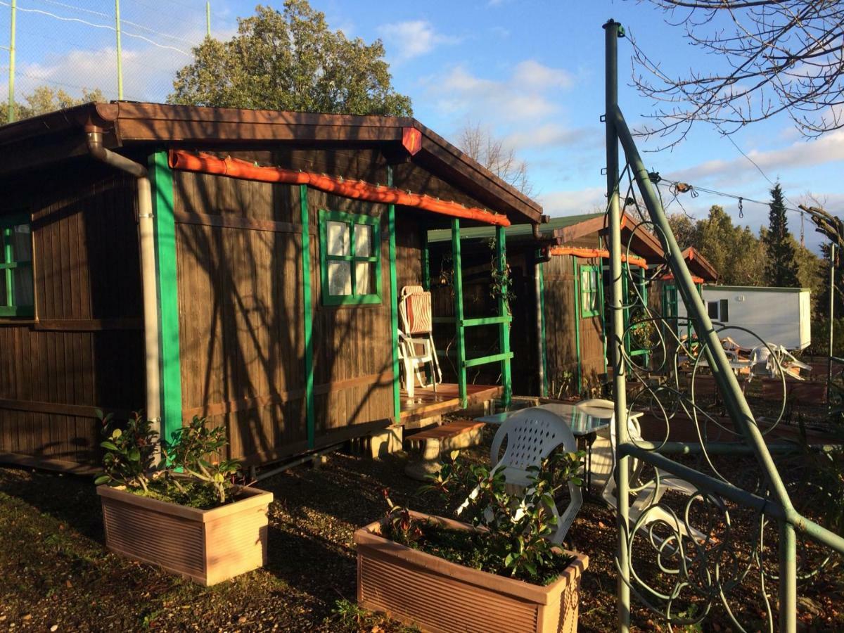 Camping Le Soline Casciano Di Murlo Εξωτερικό φωτογραφία